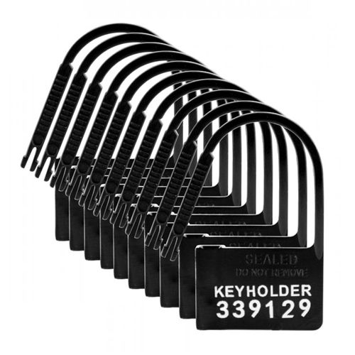 Image of Master Series Keyholder Kuisheidskooi Hangslotjes 10 Stuks