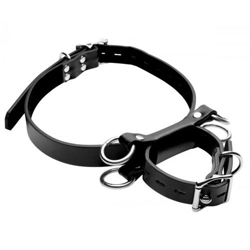 Image of Master Series Frog Tie Restraints Beenboeien